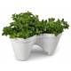 Горшок для цветов IVY Planter 7,5 л. Горшок для цветов IVY Planter 7,5 л.